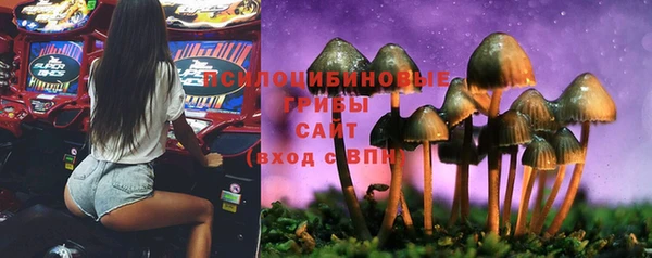 дурь Алексин