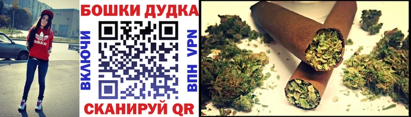 Бошки Шишки планчик  Анжеро-Судженск 